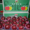 2014 Crop Hot Selling Huaniu Apple